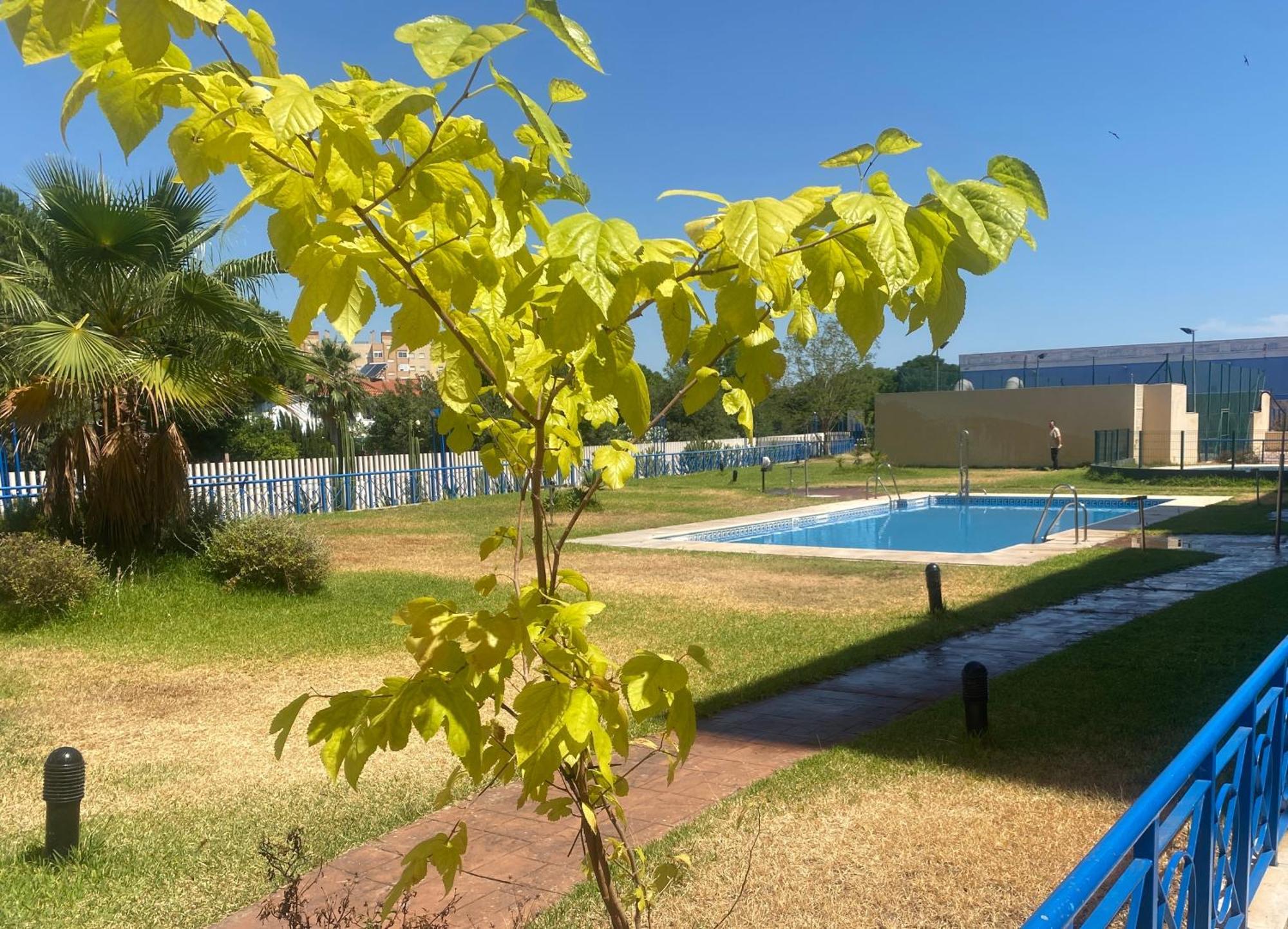 Fibes Con Piscina Y Parking Gratis Apartamento Sevilla Este Exterior foto